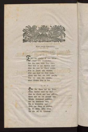 1v-2v, Text