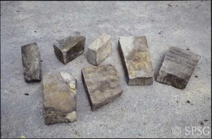 Potsdam, Park Sanssouci, Baumschule Sanssouci, gefundene Steinplatten mit Namen von Baumarten.