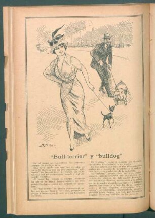 "Bull-terrier y "bulldog" - [Publicidad]