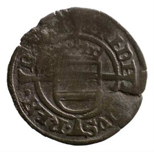 Münze, Denar, 1524
