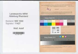 Entnazifizierung Adolf Wolf, geb. 09.04.1905 (Revisor)