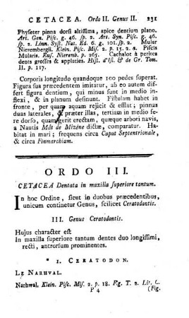 Ordo III. Cetacea Dentata in maxilla superiore tantum