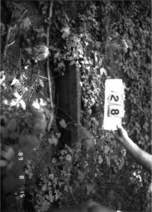 Grabstein 28 (Index: 100105612) Material: Sandstein Zustand: gespalten, nur Sockel erhalten Beschreibung: Sockel: Grabstein 28
