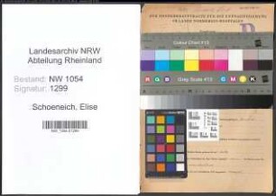 Entnazifizierung Elise Schoeneich , geb. 17.04.1888 ()