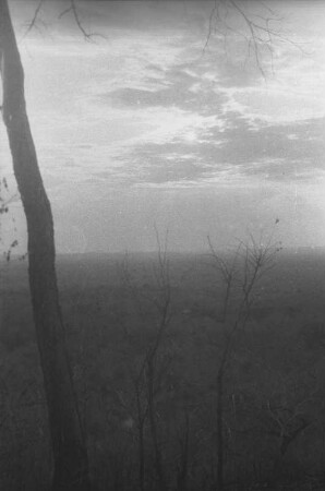 Auf dem Plateau am Tendaguru : Erhöhter Blick in eine Ebene mit Savannenlandschaft