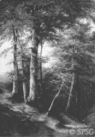 Calame, Alexandre: Waldinneres, GK I 3722.