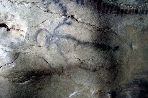 Grotte du Portel: SW200421