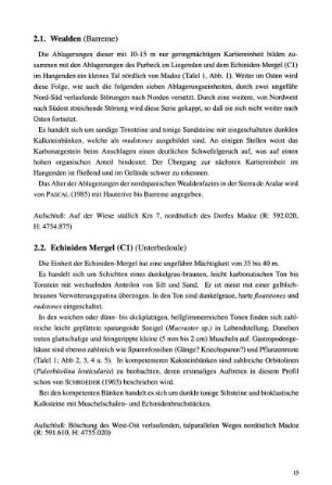 2.2 Echiniden Mergel (C1) (Unterbedoule)