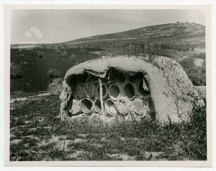 [Bienenhaus auf Hausdach bei Safed]