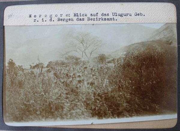 Morogoro: Blick auf das Uluguru Geb. r.i.d. Bergen das Bezirksamt