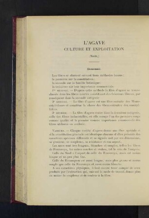 L'Agave Culture Et Exploitaton.