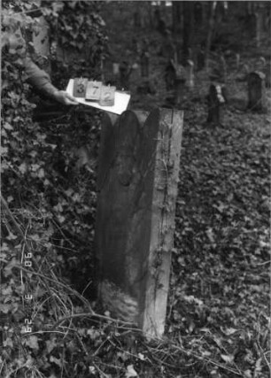 Grabstein 372 (neu: 631)