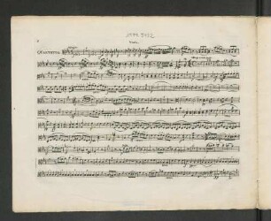 Viola.