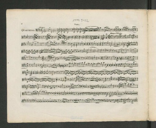 Viola.