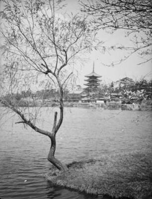 Kōfuku-ji in Nara : Blick zur Pagode (Gojūnotō) über den Sarusawaike-Teich