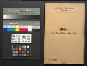 Ehefrau Charlotte Siek geb. Stüde, Schwester des Kaufmanns Wilhelm Stüde in Vlotho gegen ihren Ehemann Pastor Wilhelm Siek in Sonneborn, gebürtig aus Haustenbeck, wegen eines Ehestreits