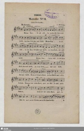 Tenor [4x]