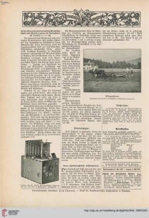 Der Amateur-Photograph