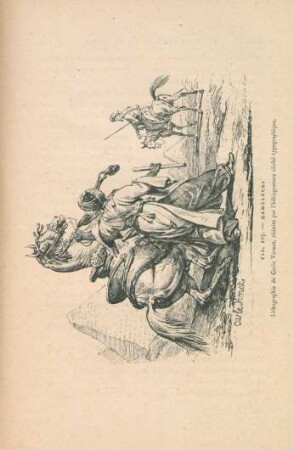 Fig. 105. - Mamelucks