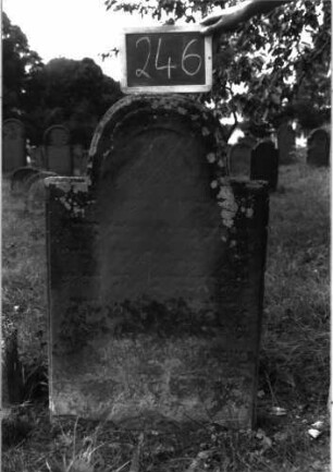 Grabstein 246 (Index: 100103239) Material: Sandstein Zustand: stark verwittert, fast vollständiger Textverlust Maße HxBxT: 100x102x9 cm Beschreibung: Stele, eingezogener Rundbogenabschluss, Schriftfeld erhaben, Band im Bogen: Grabstein 246