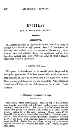Reptiles. By S. F. Baird and C. Girard