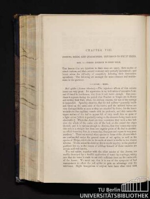 Chapter VIII. Insects, Birds, And Quadrupeds, Injurious To Fruit Trees.