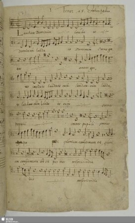 Groh, Johann: Laudate Dominum