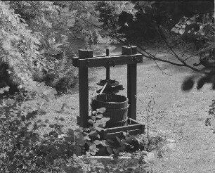 Weinpresse E.19.Jh.(?). Jessen (Kr.Wittenberg), Gartengrundstück am Schloß