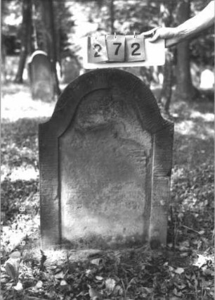 Grabstein 272 (Index: 99609909) Material: Sandstein Zustand: stark verwittert, völliger Textverlust Maße HxBxT: 83x59x9 cm Beschreibung: Stele, Konvexbogenabschluß, Schriftfeld eingetieft: Grabstein 272