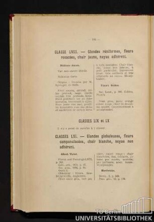 Classe LVIII. - Glandes réniformes, fleurs rosacées, chair jaune, noyau adhérent. Classes LIX et LX