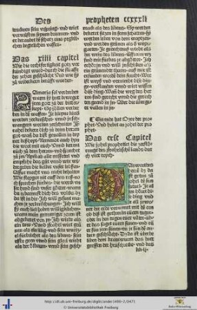 Johel der prophet