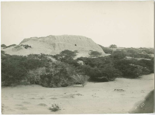 Huaca in the Hacienda Bodegones province of Lambayeque