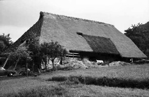 Glottertal: Der strohgedeckte Flammhof