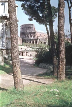 Amphitheatrum Flavium / Colosseum