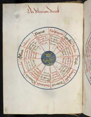 Kreisschema zur Ermittlung eines Schicksalspruchs aus dem "Blumen Ring"