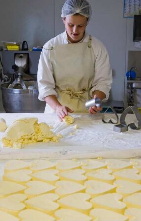 Frankreich. Haute Normandie. Seine Maritime. Nesle Hodeng. Ferme Gäc Brianchon. Käseproduzent von Neufchatel fermier AOC. Käseproduktion. Rohmasse wird in die Herz Form gebracht