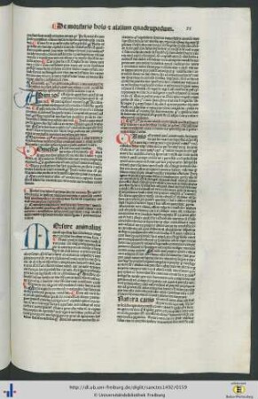 Tractatus Septimus.
