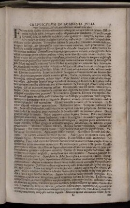 Crepusculum In Academia Julia.