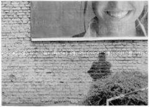Plakat und Graffiti an Mauer (Altersgruppe 14-17)
