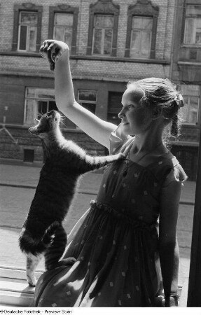 Porträt eines Mädchens mit einer Katze an einem offenem Fenster