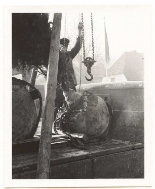 Verpflanzen großer Bäume: Baumtransport