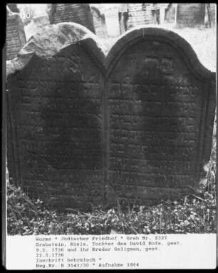 Grabstein von Rösle, Tochter des David Rofe (gestorben 1736.02.09) und ihr Bruder Seligman (gestorben 1736.05.22)