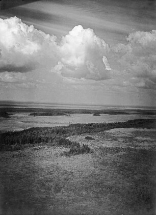 Grenzbereich zwischen Taiga und Tundra : Tundra- und Taigagrenze mit Baumgruppen und Wasserflächen auf der Halbinsel Kanin.