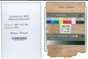 Entnazifizierung Richard Stricker , geb. 06.02.1891 (Amtsgerichtsrat)