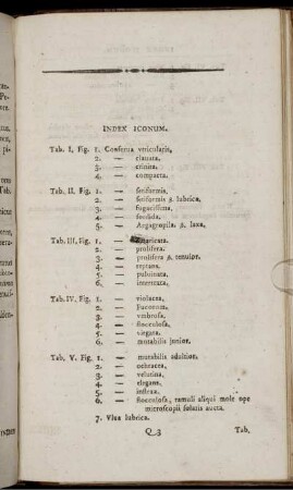 Index Iconum.