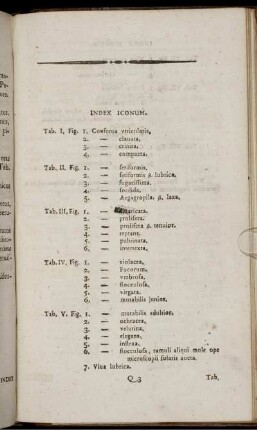 Index Iconum.