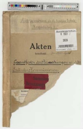 Gesamtkosten der Besatzungen und der Entente-Kommissionen: Bd. 3