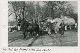Hochwasserkatastrophe im Oderbruch - Auf der Flucht