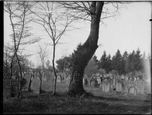 Obergrombach Jüdischer Friedhof Grabsteine