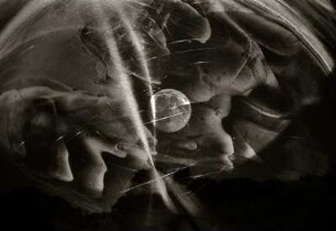 POST MURUM SOMNII - MONDNACHT